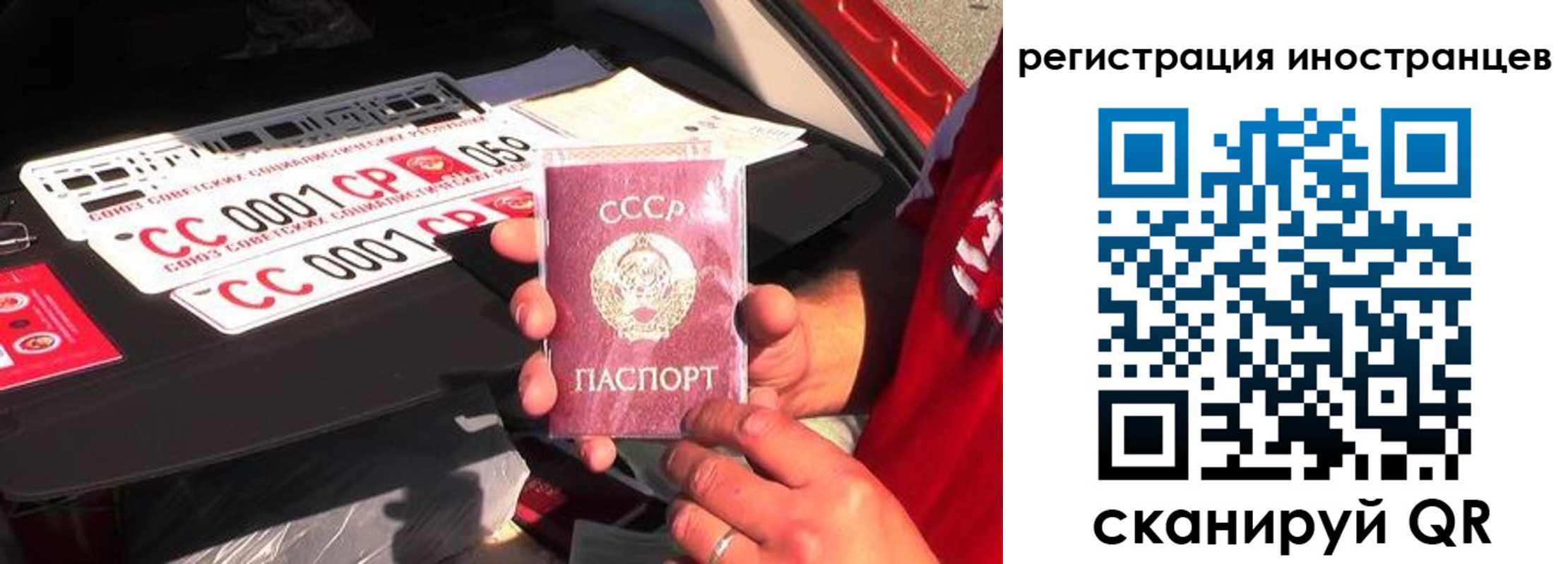прописка гарантия в Чечне